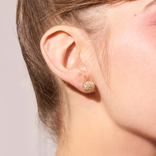 *NEW* Hillberg & Berk | Soft Gold Sparkle Ball Stud Earrings