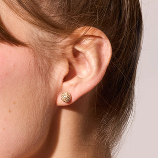 Hillberg & Berk | Soft Gold Sparkle Ball Stud Earrings