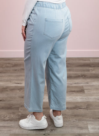 DEX | Pure Bliss Knit Denim Jogger | Light Blue Wash