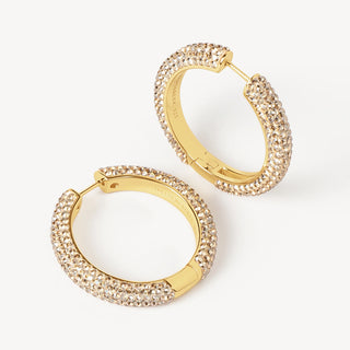 Hillberg & Berk | Soft Gold Sparkle Hoop Earrings