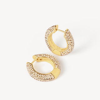 *NEW* Hillberg & Berk | Soft Gold Sparkle Hoop Earrings