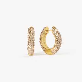 Hillberg & Berk | Soft Gold Sparkle Hoop Earrings